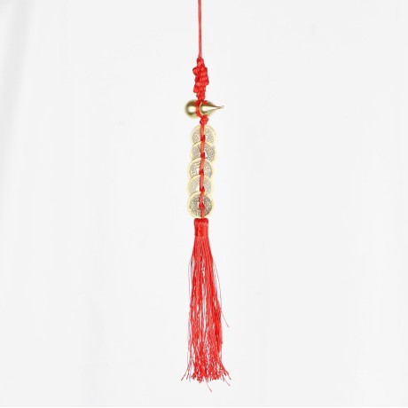 Ochranný čínsky oves – Plaketa 5 mincí s Tekvicou