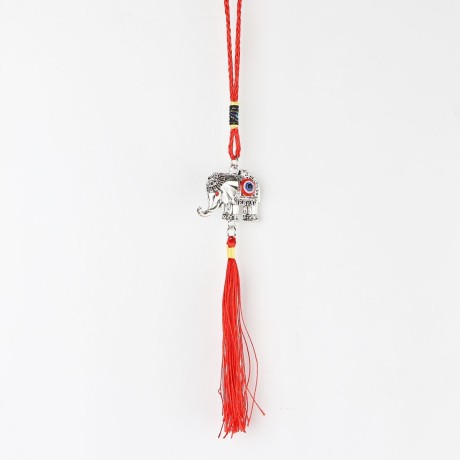 Ochranný čínsky oves – Slon a Allahovo oko