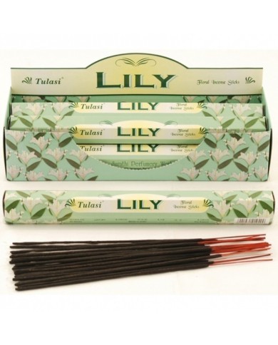 Classics - LILY