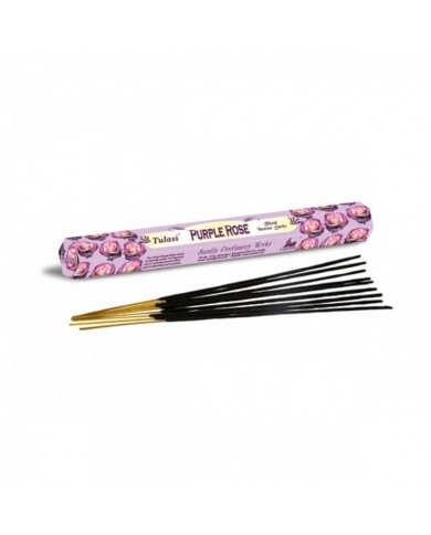 Classics - PURPLE ROSE